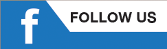 Facebook follow us button